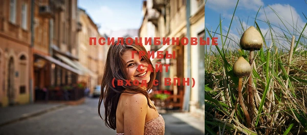 jwh Сатка