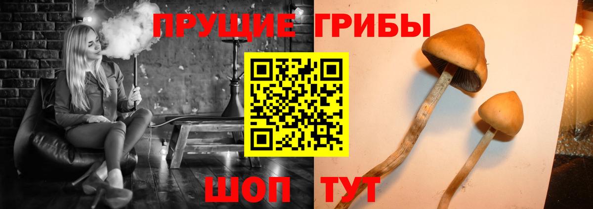 Галлюциногенные грибы ЛСД  Вход с VPN  Ртищево 